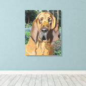 Bloodhound Portrait Canvas Afdruk (Insitu (Houten vloer))