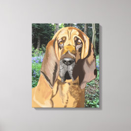 Bloodhound Portrait Canvas Afdruk