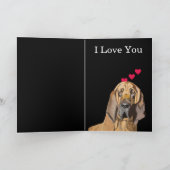Bloodhound Portrait Love Valentijn's Feestdagen Kaart (Binnen)