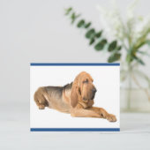 Bloodhound Puppy Dog Greeting Briefkaart (Staand voorkant)
