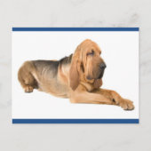 Bloodhound Puppy Dog Greeting Briefkaart (Voorkant)