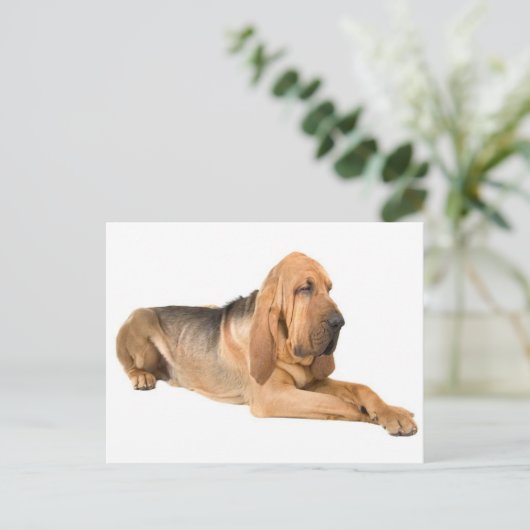 Bloodhound Puppy Dog Greeting Briefkaart (Staand voorkant)