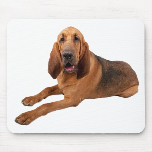 Bloodhound Puppy Dogs Rule Mousepad Muismat (Voorkant)