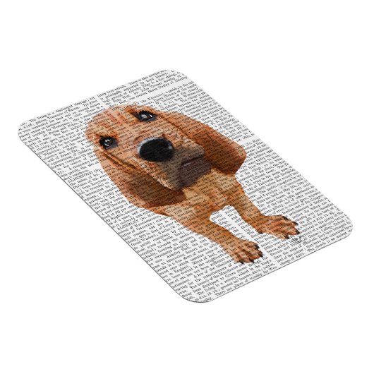 Bloodhound Puppy Magneet (Rechterzijde)
