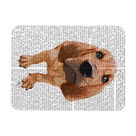 Bloodhound Puppy Magneet (Horizontaal)