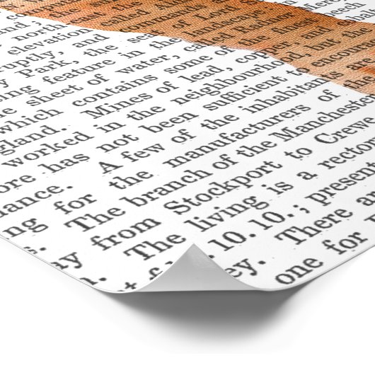 Bloodhound Puppy Poster (Hoek)