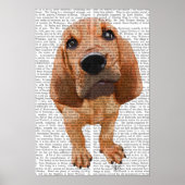 Bloodhound Puppy Poster (Voorkant)