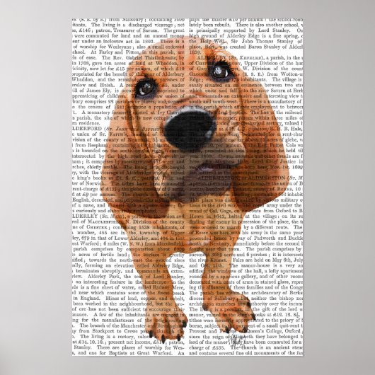 Bloodhound Puppy Poster (Voorkant)