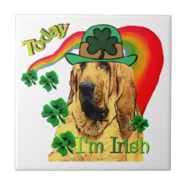 Bloodhound st Patricks Tegeltje
