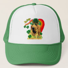 Bloodhound st Patricks