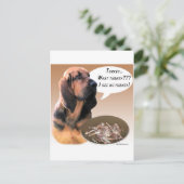 Bloodhound Turkije Briefkaart (Staand voorkant)