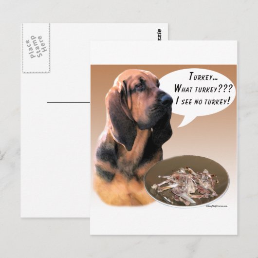 Bloodhound Turkije Briefkaart (Voorkant / Achterkant)