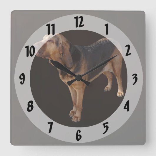 Bloodhound Vierkante Klok (Voorkant)