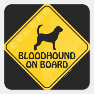 Bloodhound Xing Vierkante Sticker