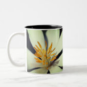 Bloodroot Flower Center op maat Tweekleurige Koffiemok (Links)