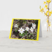 Bloodroot II Blank Note Kaart (Gele Bloem)