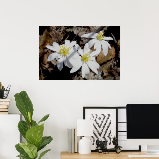 Bloodroot Trio Poster (Thuiskantoor)