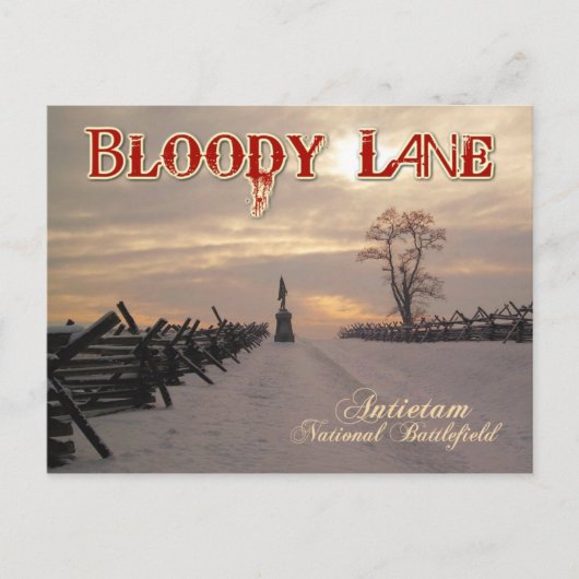 Bloody Lane, Antietam National Battlefield, MD Briefkaart (Voorkant)