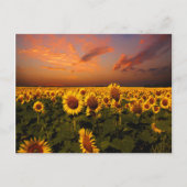 Bloody Skies Briefkaart (Voorkant)