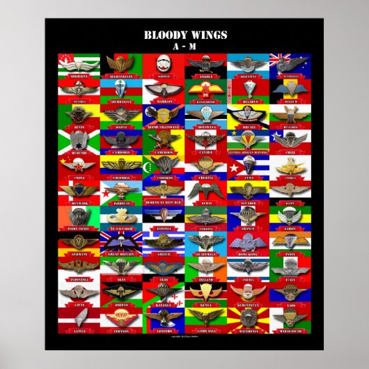 Bloody Wings 1 (engl. Poster (Voorkant)