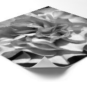 Bloom #4 poster (Hoek)