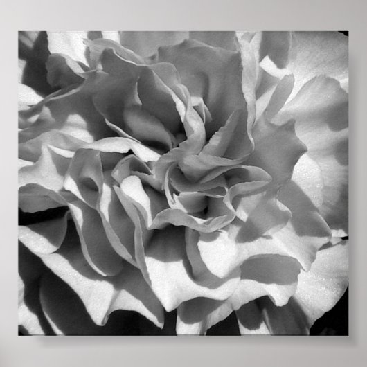 Bloom #4 poster (Voorkant)