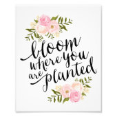 Bloom | Art Print Foto Afdruk (Voorkant)