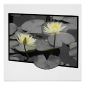 Bloom Beyond the Lijst Glossy Poster (Voorkant)