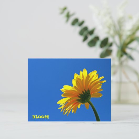 BLOOM! Briefkaart (Staand voorkant)