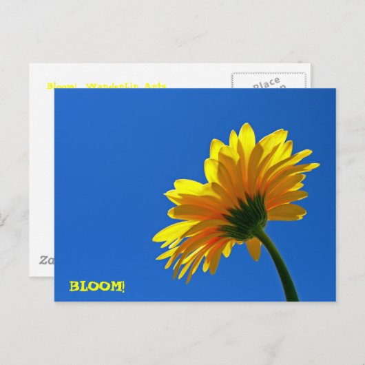 BLOOM! Briefkaart (Voorkant / Achterkant)
