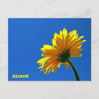 BLOOM! Briefkaart