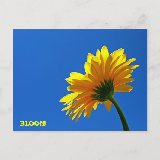 BLOOM! Briefkaart (Voorkant)