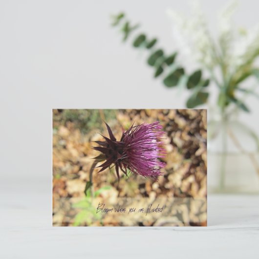 Bloom... Briefkaart (Staand voorkant)