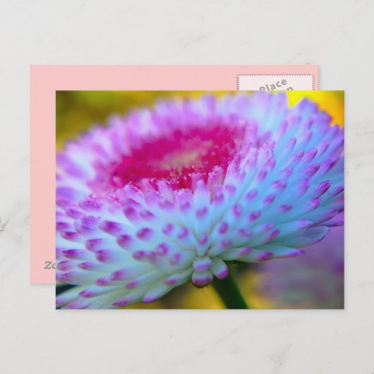 Bloom Flower Briefkaart (Voorkant / Achterkant)