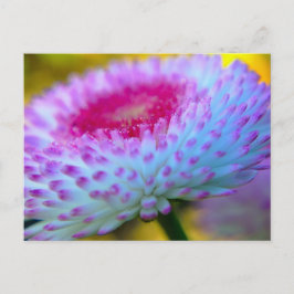 Bloom Flower Briefkaart