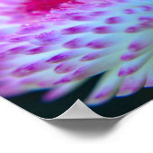 Bloom Flower Poster (Hoek)