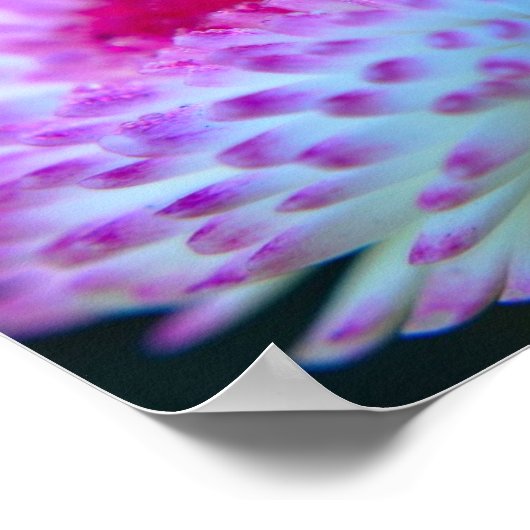 Bloom Flower Poster (Hoek)