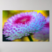 Bloom Flower Poster (Voorkant)