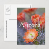 Bloom in het Oranje, Arizona Briefkaart (Voorkant / Achterkant)
