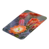 Bloom in het Sinaasappel Magneet (Linkerzijde)