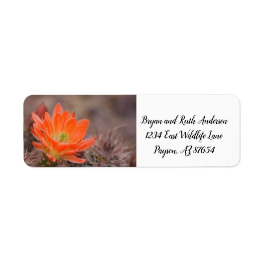 Bloom in oranje cactus bloesem etiket (Voorkant)