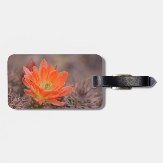 Bloom in Oranje Cactus Blossom Bagagelabel (Achterkant horizontaal)