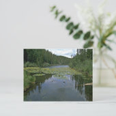 Bloom in water briefkaart (Staand voorkant)