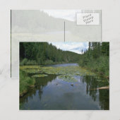 Bloom in water briefkaart (Voorkant / Achterkant)