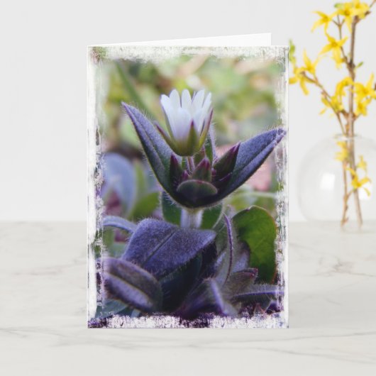 Bloom Kaart (Gele Bloem)