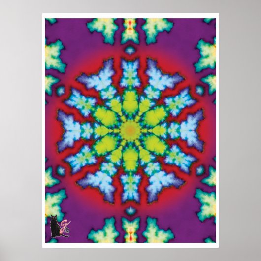 Bloom Kinestische Collage Kaleidoscoop Poster (Voorkant)