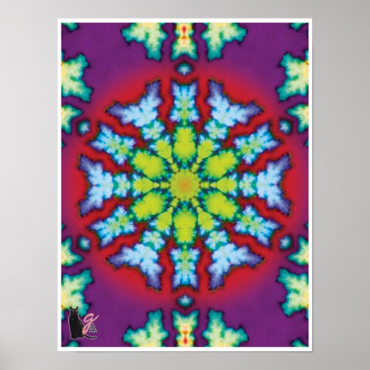 Bloom Kinetic Collage Kaleidoscope Poster (Voorkant)