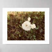 Bloom kleurenfotografie poster (Voorkant)