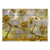 Bloom  Ledger Page Cherry Blossom (Voorkant Horizontaal)