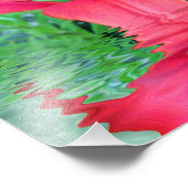 Bloom of Life Foto Afdruk (Hoek)